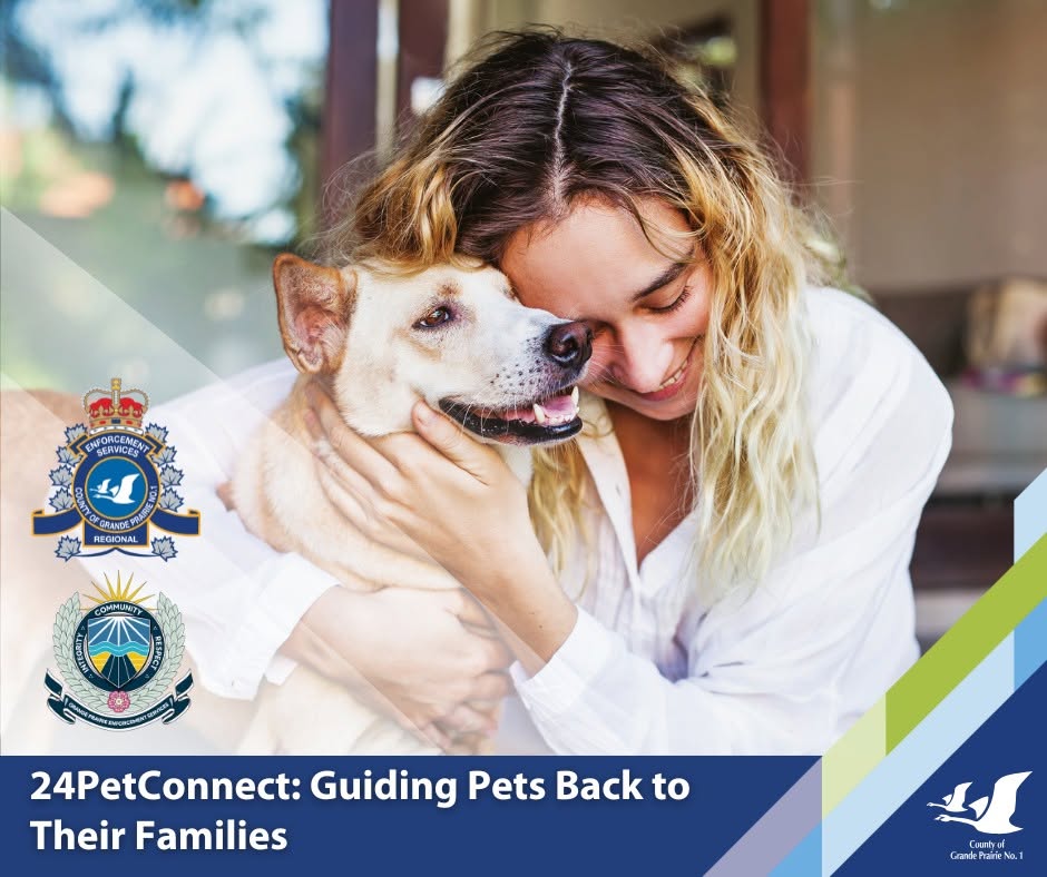 A poster for 24Petconnect