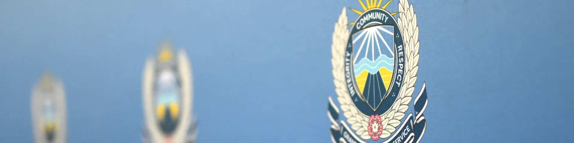 The GPPS crest on a fabric backdrop