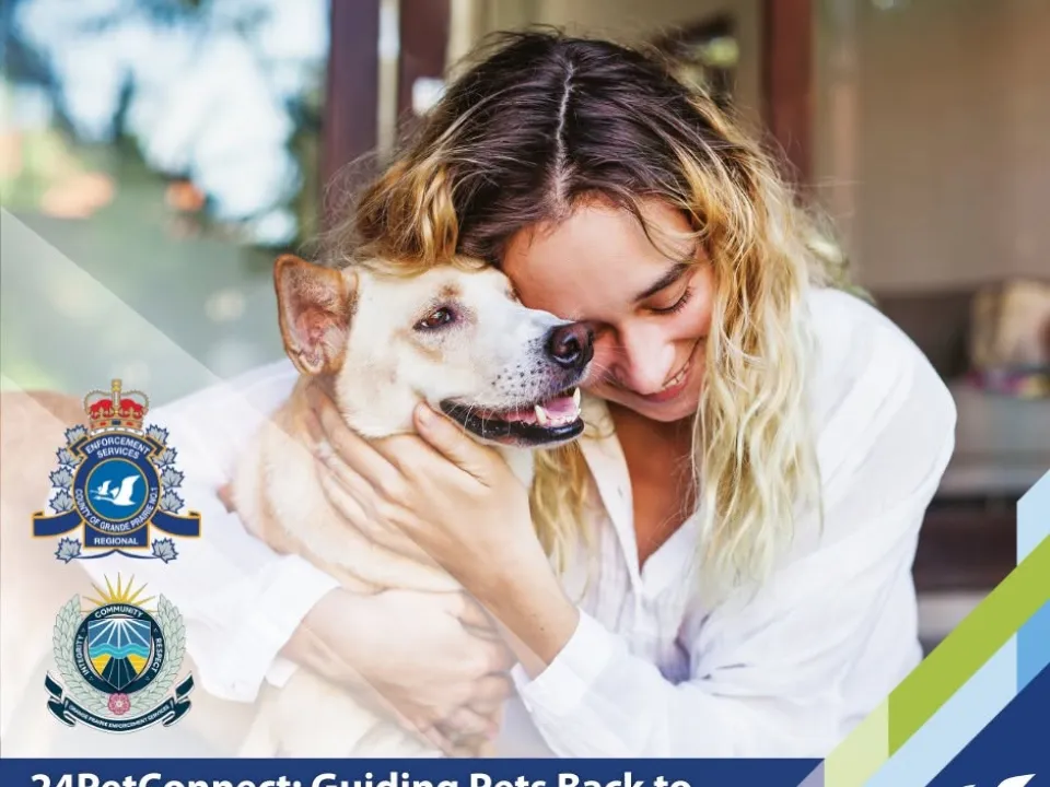 A poster for 24Petconnect